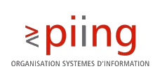 organisation systemes d information